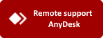 Download AnyDesk remote support app